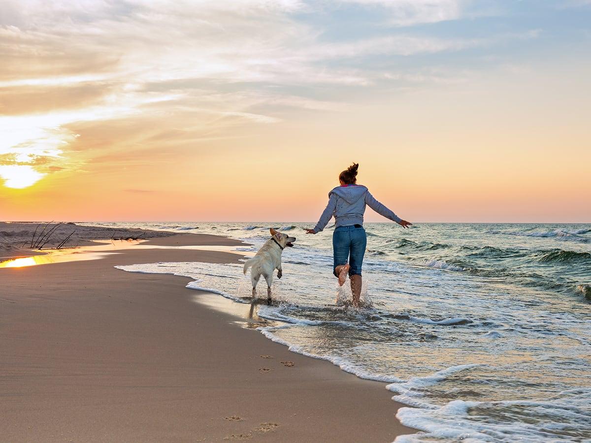 A person runs along the shore with a Labrador at sunset.